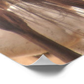 Fox Hunt Poster (Ecke)