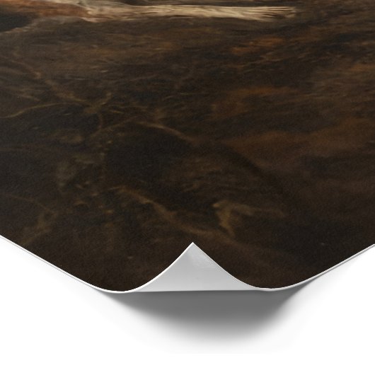 Fox Hunt Poster (Ecke)