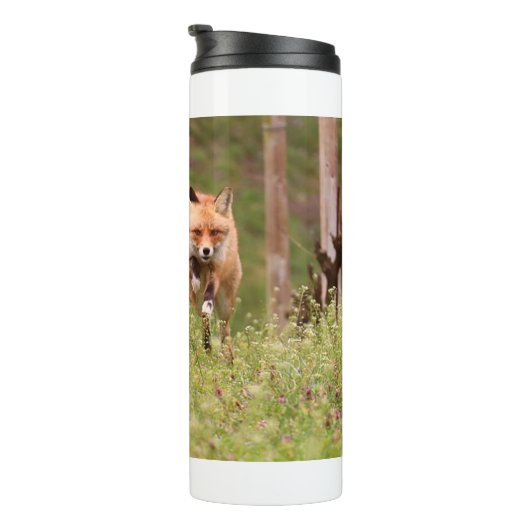 Fox Hunter 11 Thermosbecher (Nach rechts gedreht)