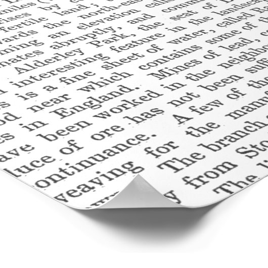 Fox Hunter Poster (Ecke)