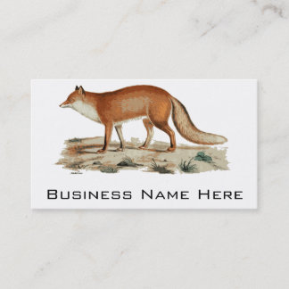 Fox-Illustration Visitenkarte