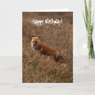 Fox im Gras; Alles Gute zum Geburtstag Karte
