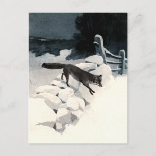Fox im Schnee Postkarte
