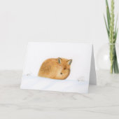 Fox im Schnee Weihnachten Karte (Vorderseite)