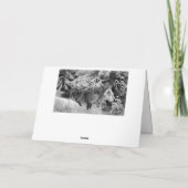 Fox im Winter (1904) von Bruno Liljefors Dankeskarte (Rückseite)