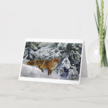 Fox im Winter (1904) von Bruno Liljefors