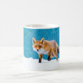 Fox im Winter. Rotfuchs, Vulpes vulpes, Scharfschü Kaffeetasse (Mittel)