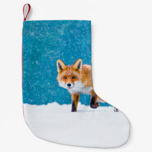 Fox im Winter. Rotfuchs, Vulpes vulpes, Scharfschü Kleiner Weihnachtsstrumpf