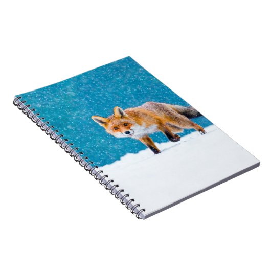 Fox im Winter. Rotfuchs, Vulpes vulpes, Scharfschü Notizblock (Rechte Seite)