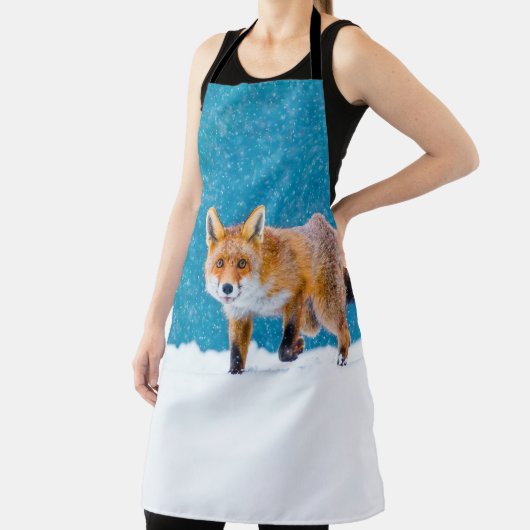 Fox im Winter. Rotfuchs, Vulpes vulpes, Scharfschü Schürze (InSitu)