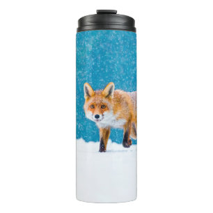 Fox im Winter. Rotfuchs, Vulpes vulpes, Scharfschü Thermosbecher