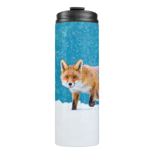 Fox im Winter. Rotfuchs, Vulpes vulpes, Scharfschü Thermosbecher (Vorderseite)