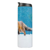 Fox im Winter. Rotfuchs, Vulpes vulpes, Scharfschü Thermosbecher (Nach rechts gedreht)