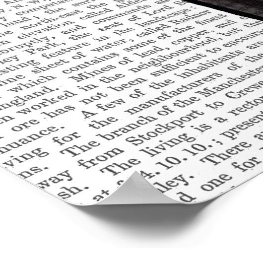 Fox in Abend Anzug voll Poster (Ecke)