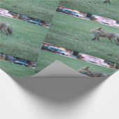 Fox in grünem Gras im Tausend Eichenpark San Jo Geschenkpapier (Ecke)