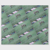 Fox in grünem Gras im Tausend Eichenpark San Jo Geschenkpapier (Flach)