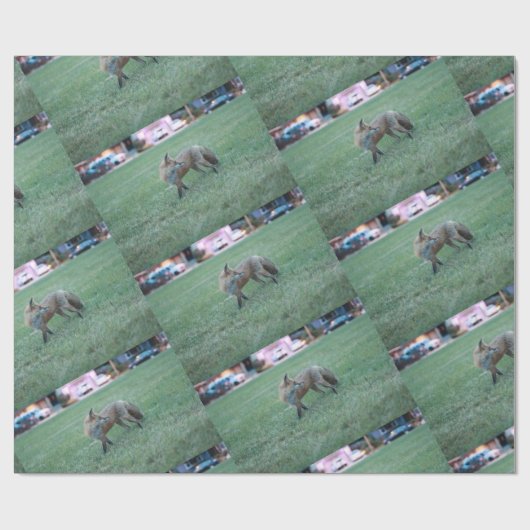 Fox in grünem Gras im Tausend Eichenpark San Jo Geschenkpapier (Flach)