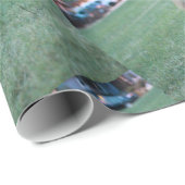 Fox in grünem Gras im Tausend Eichenpark San Jo Geschenkpapier (Rolleneckpunkt)