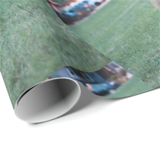 Fox in grünem Gras im Tausend Eichenpark San Jo Geschenkpapier (Rolleneckpunkt)