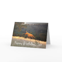 Fox in Mondlicht, Happy Birthday Son, Spaß.