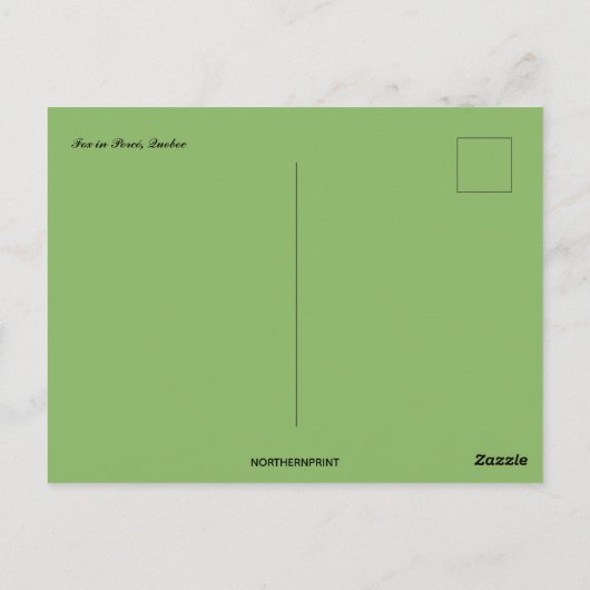 Fox in Percé Quebec Kanada Postkarte (Rückseite)