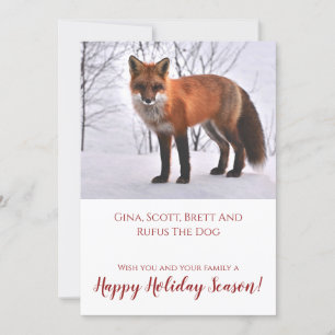 Fox in Schnee Natur Weihnachten