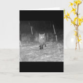 Fox in Snow at Night Grußkarte Hinzufügen von Text Karte (Gelbe Blume)