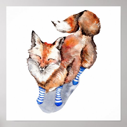 Fox in Socken Poster (Vorne)