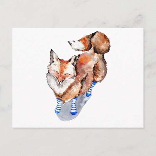 Fox in Socken Postkarte (Vorderseite)