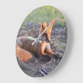 Fox in Sunlight Große Wanduhr (Winkel)