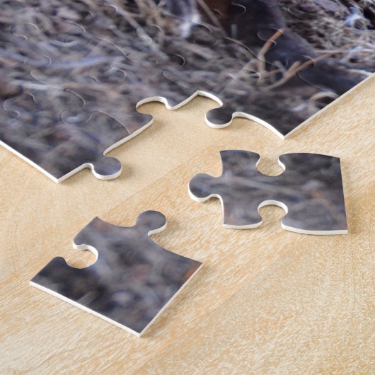 Fox in Sunlight Puzzle (Seite)