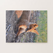 Fox in Sunlight Puzzle (Horizontal)