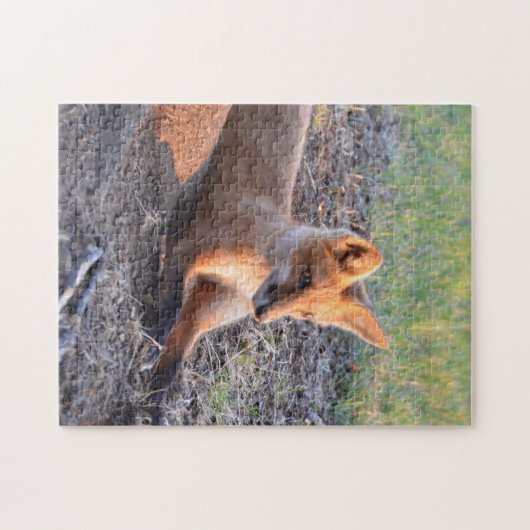 Fox in Sunlight Puzzle (Horizontal)