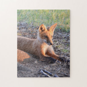 Fox in Sunlight Puzzle