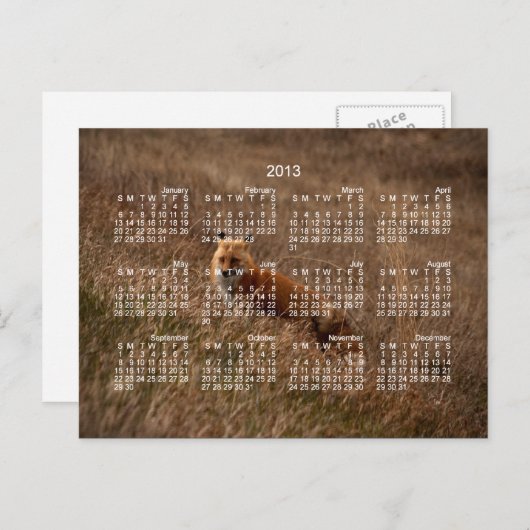 Fox in the Grass; Kalender 2013 Postkarte (Vorne/Hinten)