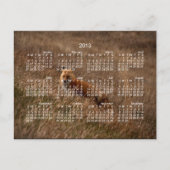 Fox in the Grass; Kalender 2013 Postkarte (Vorderseite)