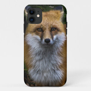 Fox iPhone Fall Case-Mate iPhone Hülle