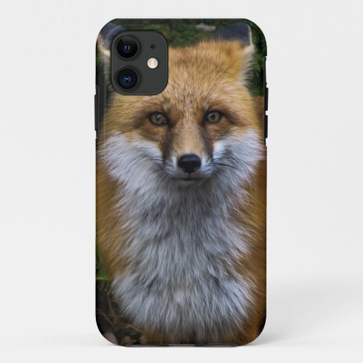 Fox iPhone Fall Case-Mate iPhone Hülle (Rückseite)
