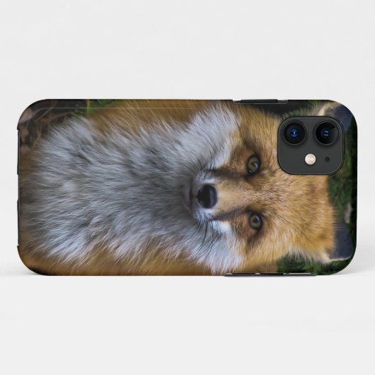 Fox iPhone Fall Case-Mate iPhone Hülle (Rückseite (Horizontal))