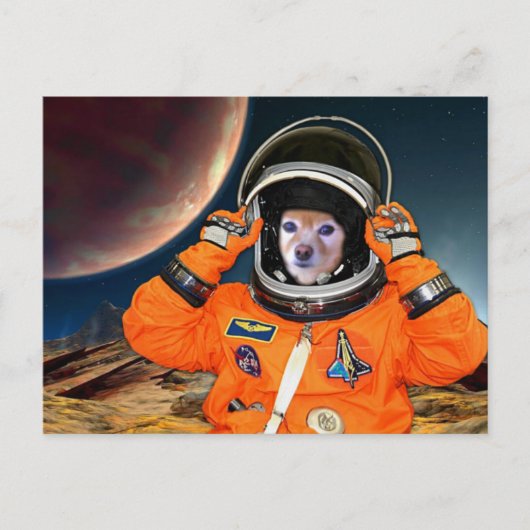 Fox ist Astronaut 2 Postkarte (Vorderseite)