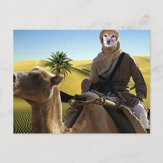 Fox ist der Lawrence von Arabien Postkarte (Vorderseite)