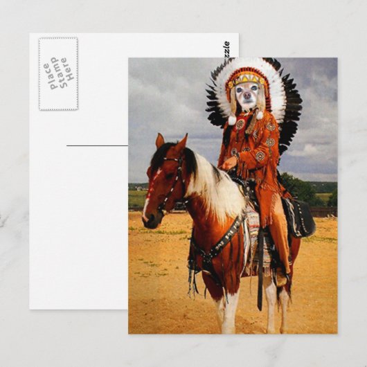 Fox ist ein indischer Leiter Postkarte (Vorne/Hinten)