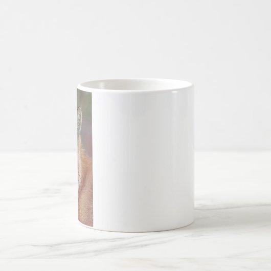 Fox Kaffeetasse (Mittel)