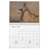 Fox-Kalender 2010 Kalender (Feb 2027)