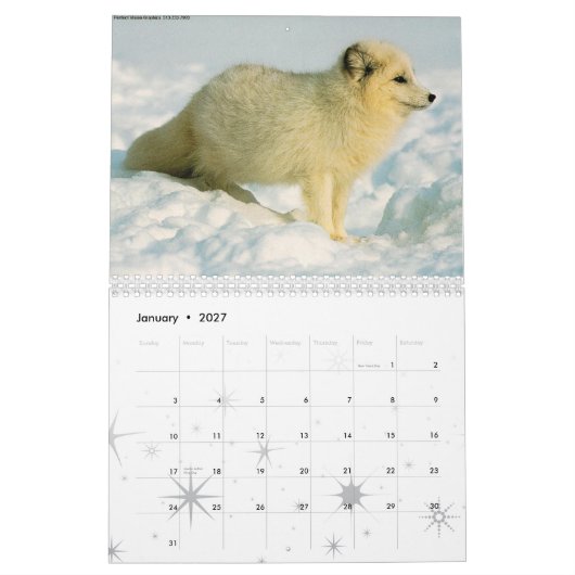 Fox-Kalender 2010 Kalender (Jan 2027)