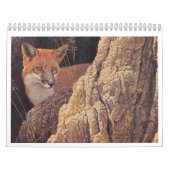 Fox-Kalender 2010 Kalender (Titelbild)