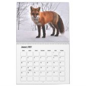 Fox-Kalender Kalender (Jan 2027)