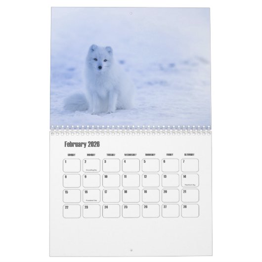 Fox-Kalender Kalender (Feb 2026)