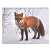 Fox-Kalender Kalender (Titelbild)