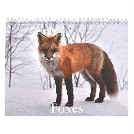 Fox-Kalender Kalender (Titelbild)